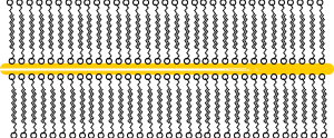 Gold Nanowires