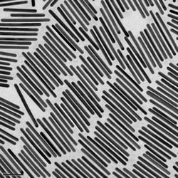 Nanopartz Nanorods driven to alignment through electric field controlled liquid crystals