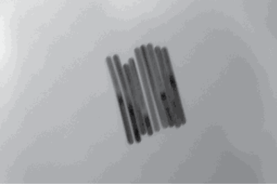 Nanorod Polarizer Schematic